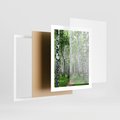Plakat w ramie 40x50 - Magia lasu pełnego brzóz - las, brzozy - rama biała