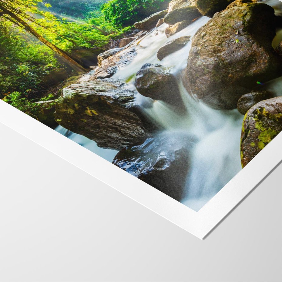 Plakat bez ramy 30x40 - Idylliczny strumyk w urokliwym lesie - strumyk, las