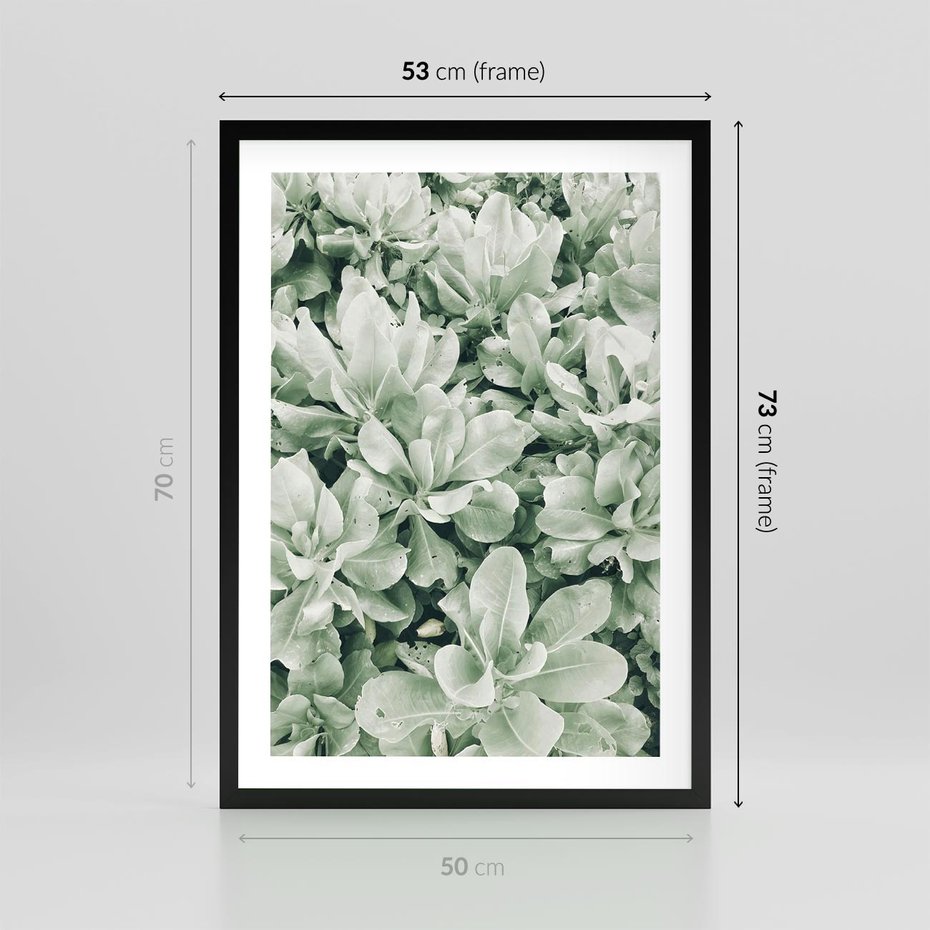 Plakat w ramie 50x70 - Liście w Jasnych Odcieniach Zielonego - liście, jasna zieleń fotografia - rama czarna