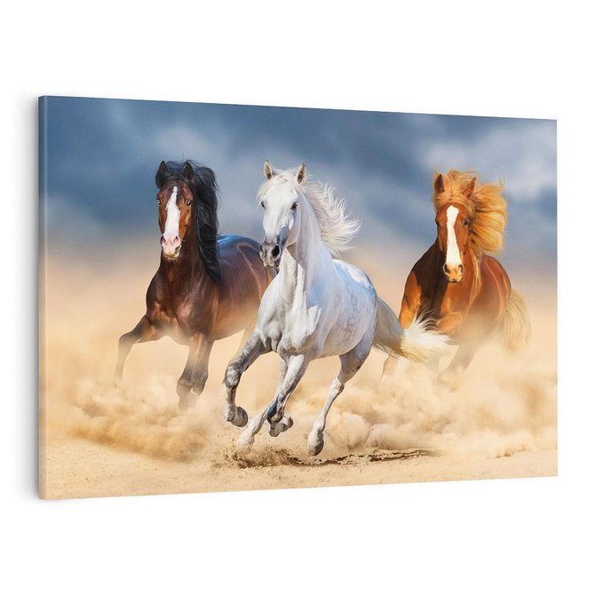 Obraz na płótnie 120x80 - Siła i elegancja - konie, galop