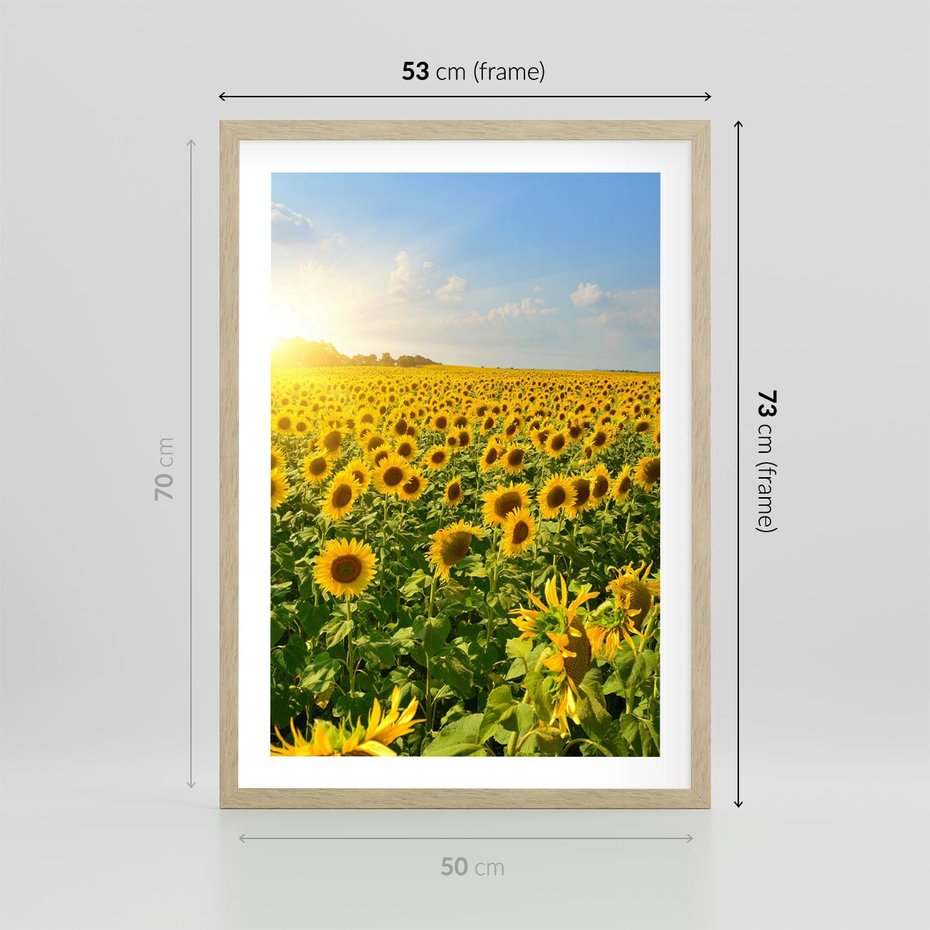 Plakat w ramie 50x70 - Idylla na łące słoneczników - łąka, słoneczniki - rama drewno