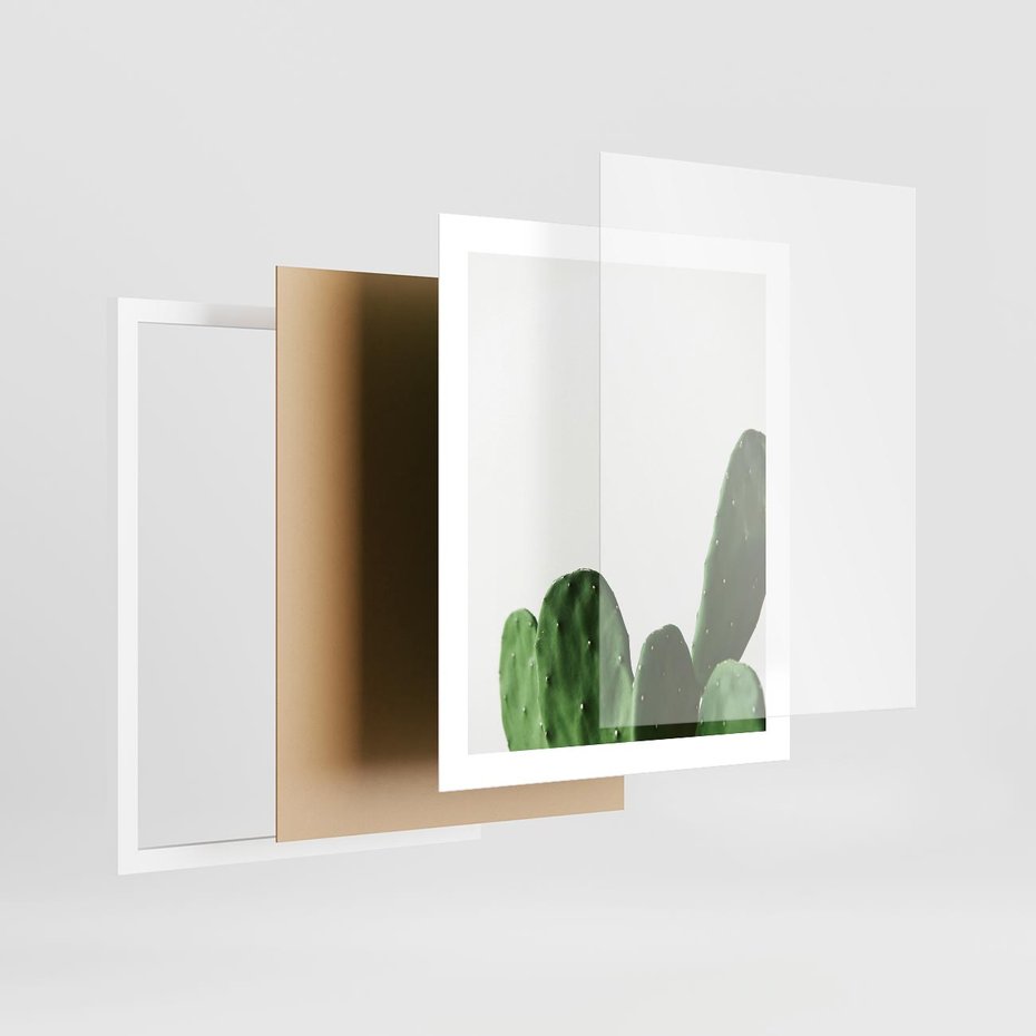 Plakat w ramie 40x50 - Minimalizm Natury - kaktus, zbliżenie - rama biała