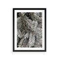 Plakat w ramie 30x40 - Cisza Zimowej Natury - zima, iglaste gałązki - rama czarna