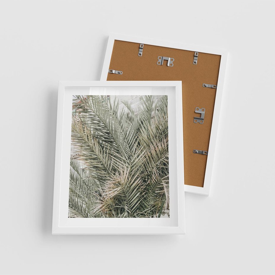 Plakat w ramie 40x50 - Egzotyczny Świat Palm - palmy, liście palmy - rama biała