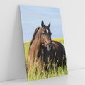 Obraz na płótnie 50x70 - Siła i piękno natury - koń, łąka