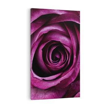 Obraz na płótnie 80x120 - piękno w delikatności - róża, kwiat