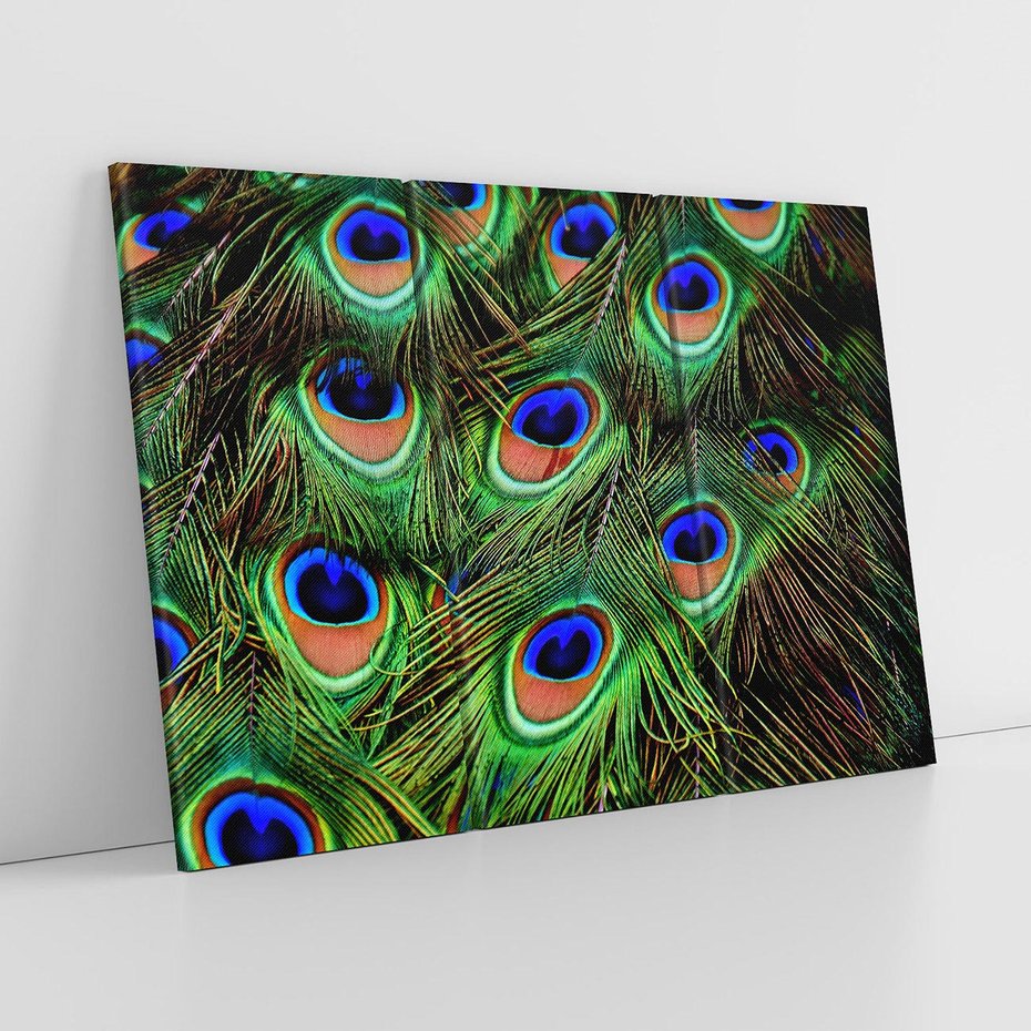 Obraz na płótnie 120x80 - Pawi Ogon - Piękno i Wspaniałość - paw, pióra