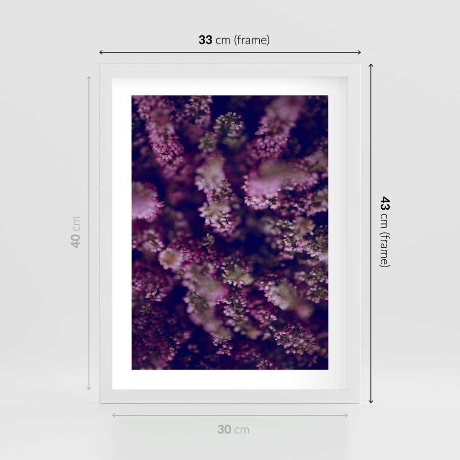 Plakat w ramie 30x40 - Wrzosowa Delikatność - wrzosy, kwiaty - rama biała
