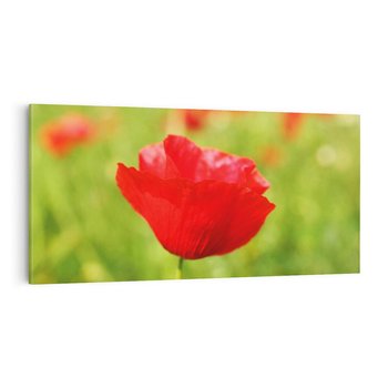 Obraz na płótnie 120x60 - Magia maku na łące - mak, łąka