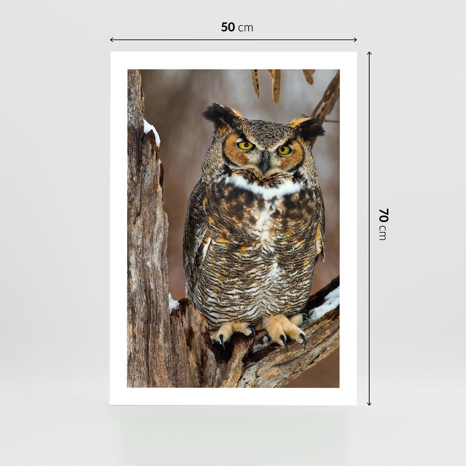 Plakat bez ramy 50x70 - Tajemniczy Stróż - sowa, las