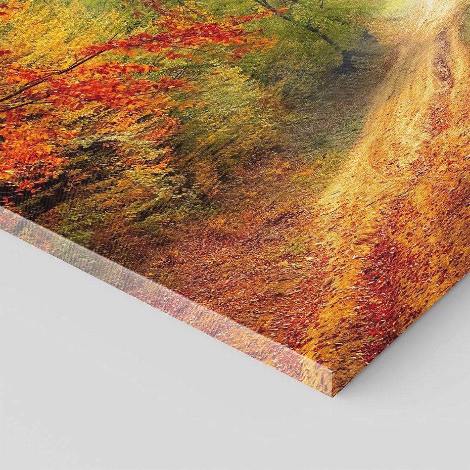 Obraz na płótnie 30x30 - Jesienny urok magia lasu - las, jesień