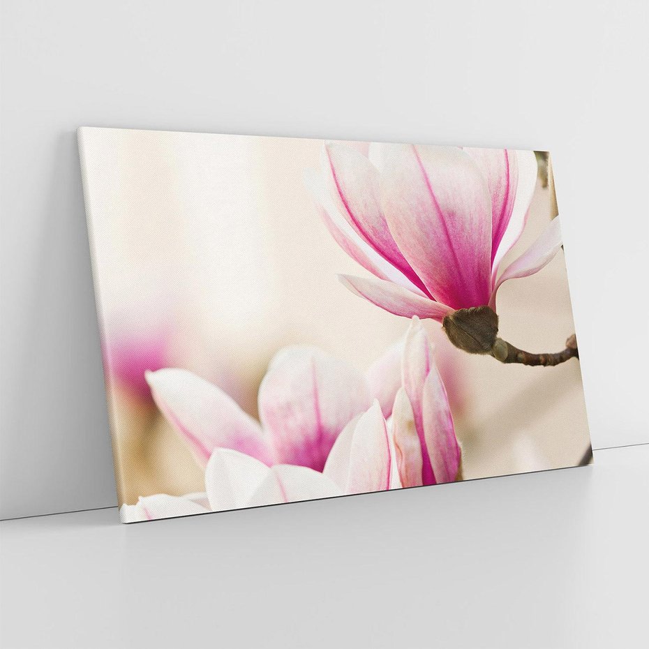 Obraz na płótnie 120x80 - Urok Magnolii - magnolie, kwiaty