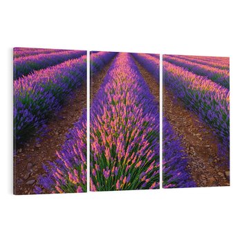 Obraz na płótnie 120x80 - Fioletowa Magia - pole, lawendy