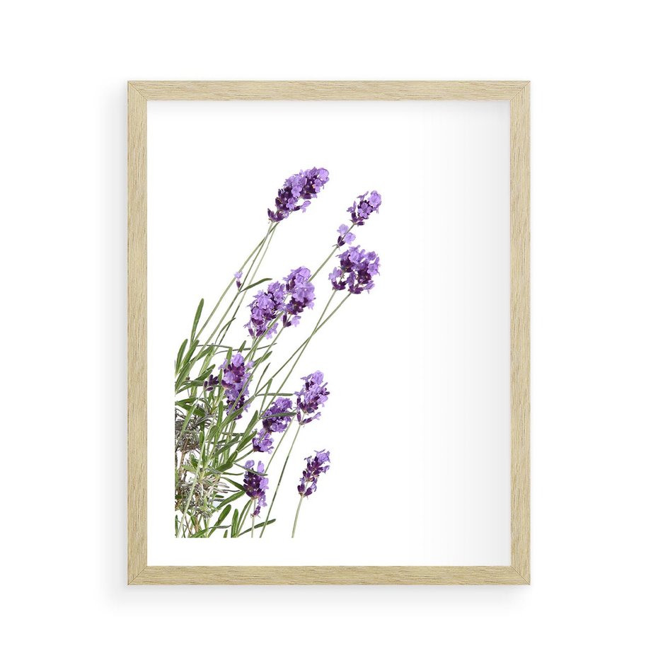 Plakat w ramie 40x50 - Delikatny Urok - lawenda, kwiaty - rama drewno