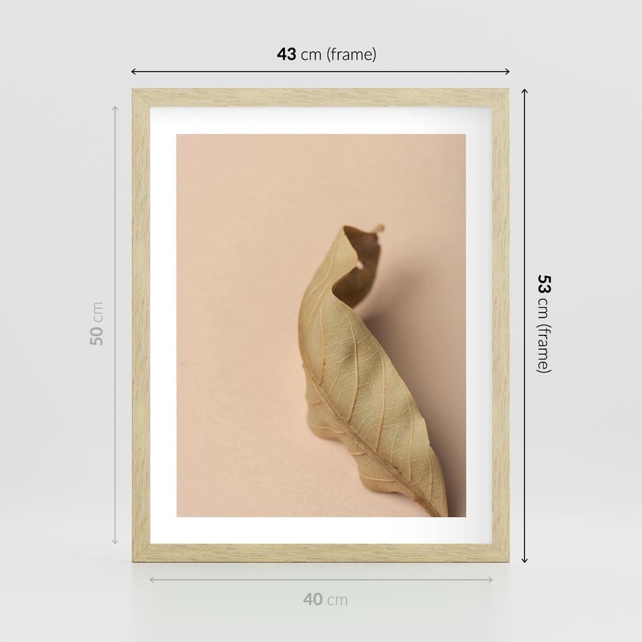 Plakat w ramie 40x50 - Boho suszone liście - suszony, liść - rama drewno