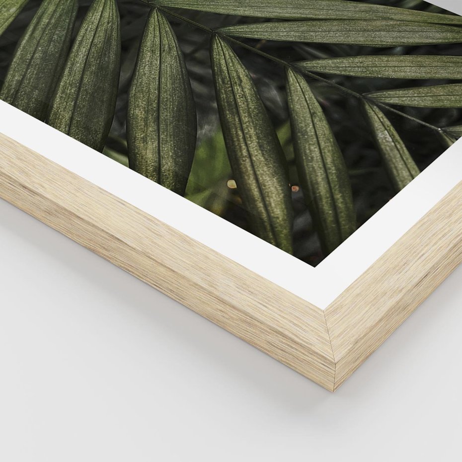 Plakat w ramie 50x70 - W Liściach Ukryte - zdjęcie, fotografia - rama drewno