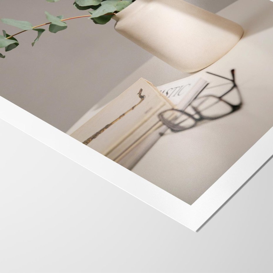 Plakat bez ramy 40x50 - Eukaliptusowe liście w okularach - liście, eukaliptus