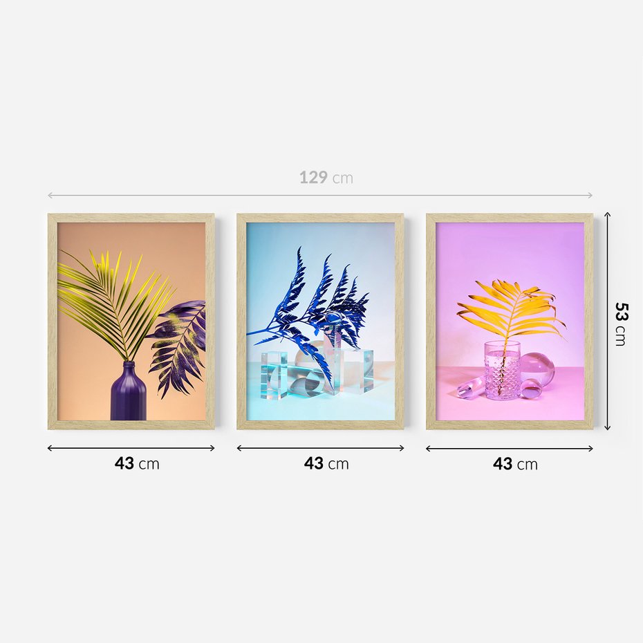 Zestaw obrazy w ramie 40x50 galeria - Palmy, paprocie, liście, pastele - rama drewno