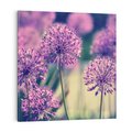 Obraz na płótnie 50x50 - Kwiatowa łąka w pełnym rozkwicie - kwiaty, łąka