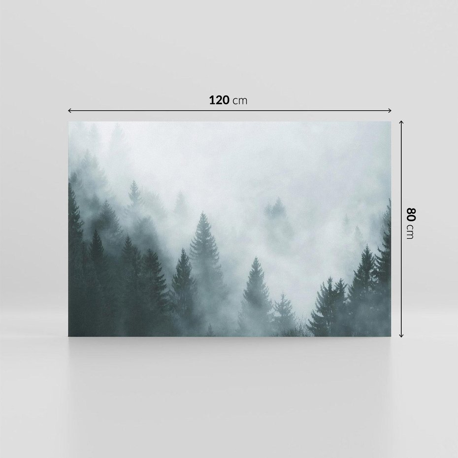 Obraz na płótnie 120x80 - Las w Mgłe - las, we