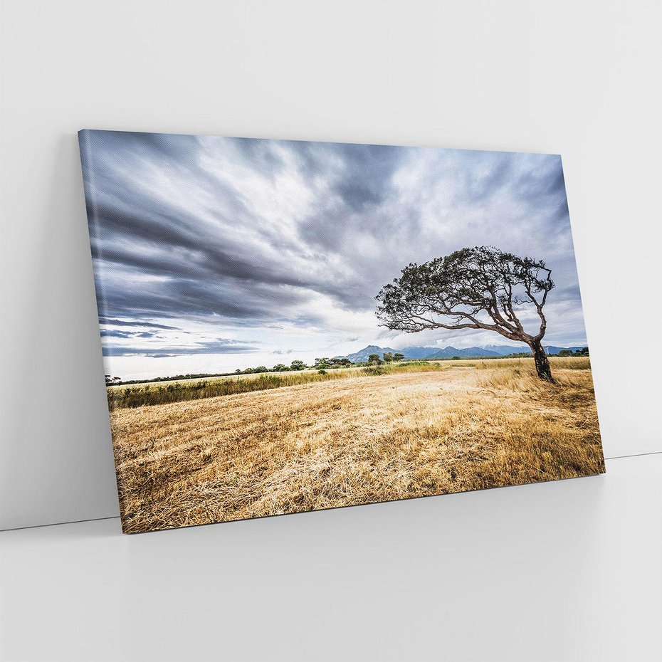 Obraz na płótnie 70x50 - Mistyka afrykańskiej sawanny - sawanna, drzewo