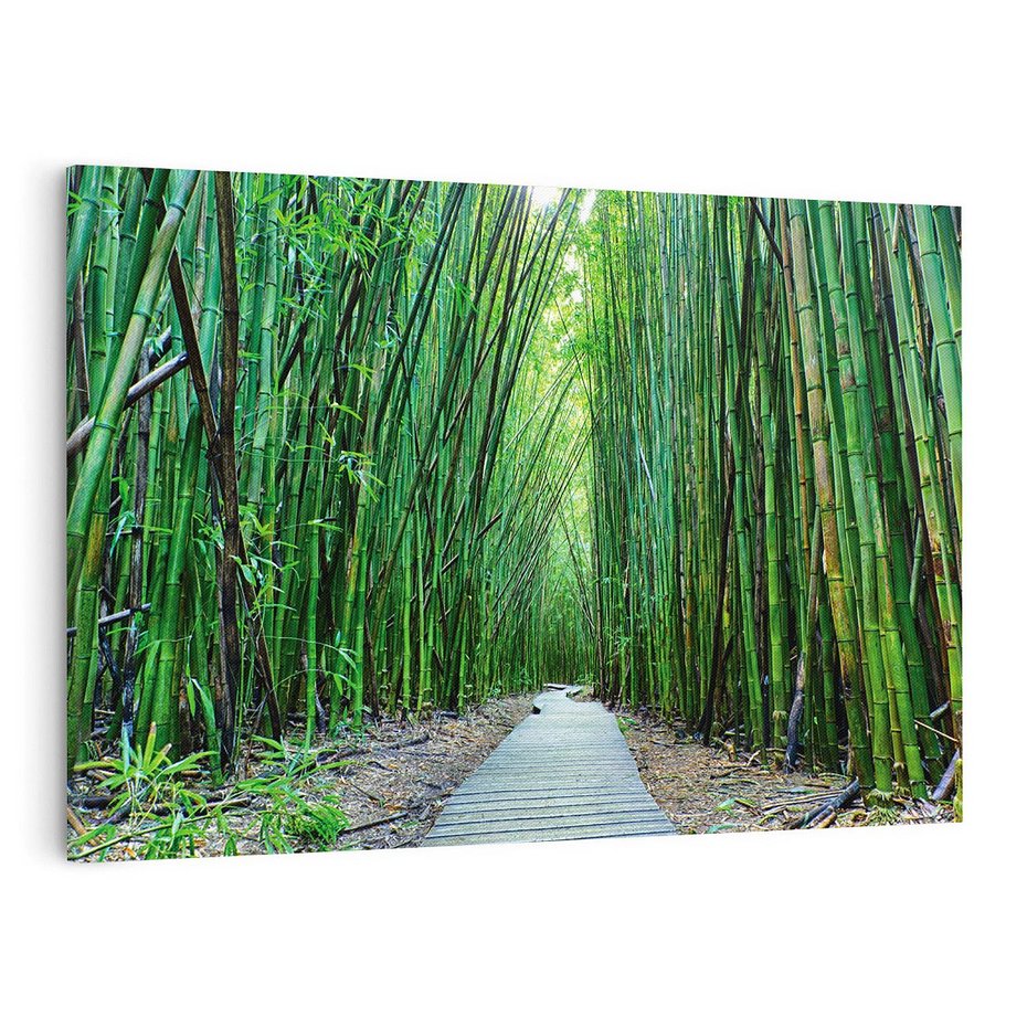 Obraz na płótnie 100x70 - Spacer wśród lasu - ścieżka, las