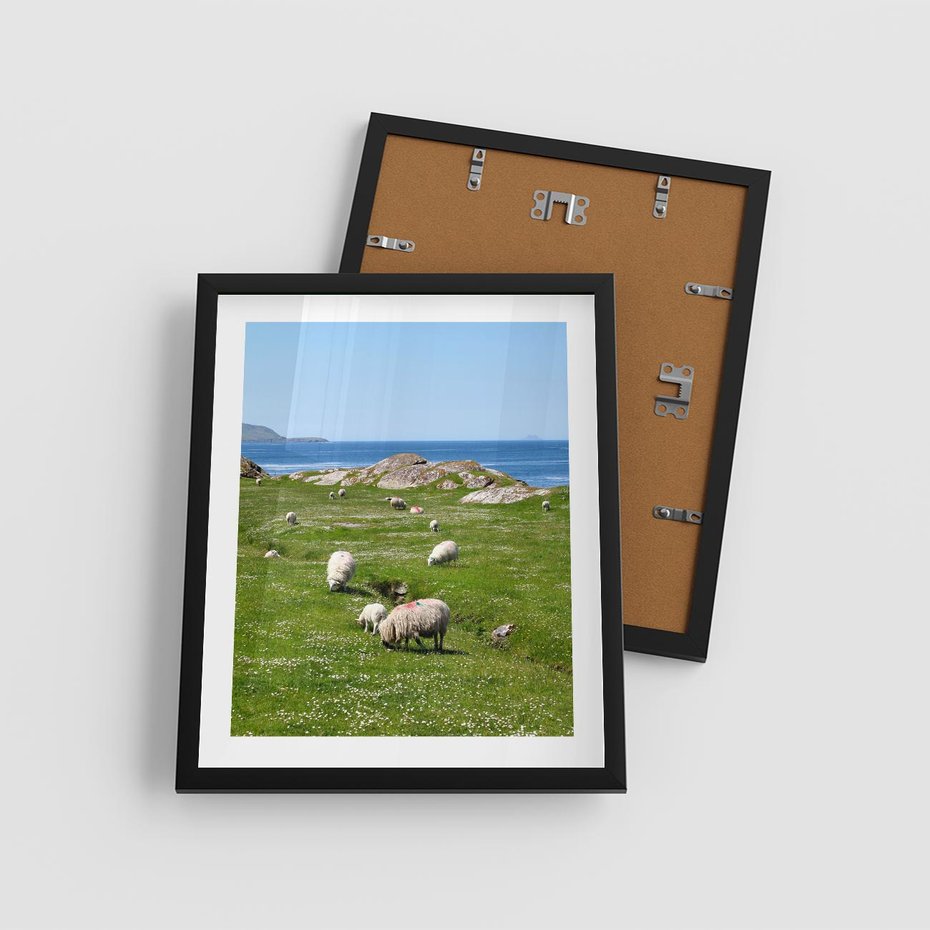 Plakat w ramie 40x50 - Górskie Owce - góry, owce - rama czarna