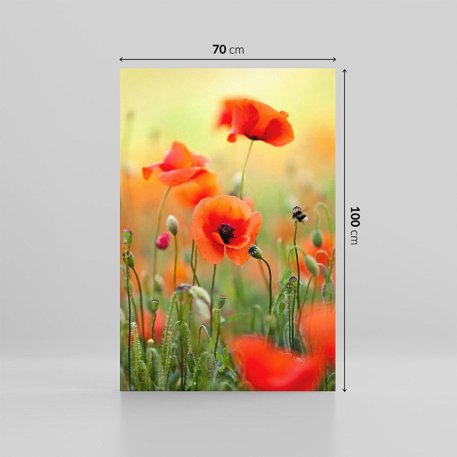 Obraz na płótnie 70x100 - Makowa Pasja - maki, kwiaty