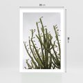Plakat bez ramy 21x30 - Ekskluzywna Roślinność - kaktusy, liście
