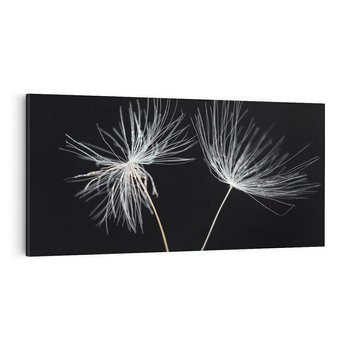Obraz na płótnie 100x50 - Delikatność Wiatru - dmuchawce, makro