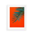 Plakat w ramie 30x40 - Egzotyczny Urok - liście, palma - rama biała