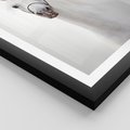 Plakat w ramie 40x50 - Elegancja białego konia - biały, koń - rama czarna