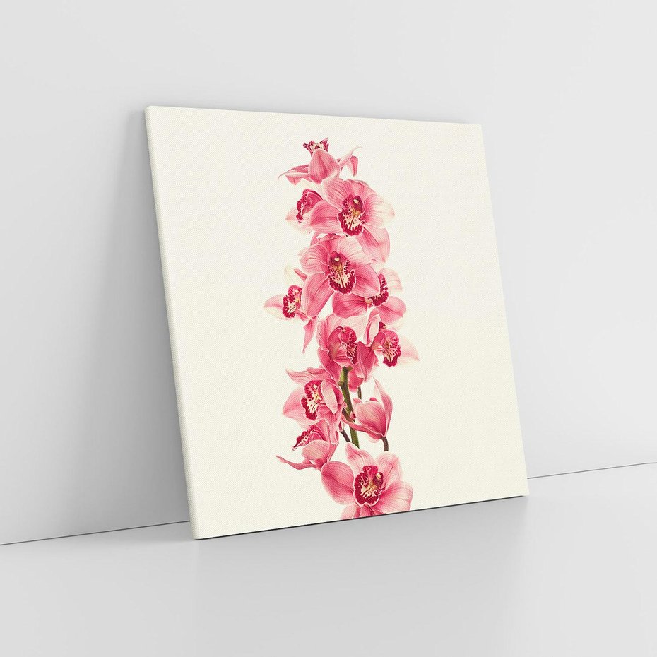 Obraz na płótnie 50x50 - Orchidea w spa - relaks - orchidea, spa