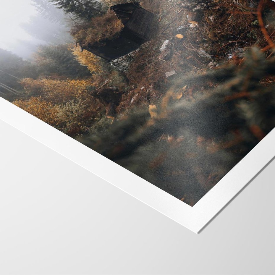 Plakat bez ramy 30x40 - Górski las - stary zniszczony domek w górach, góry