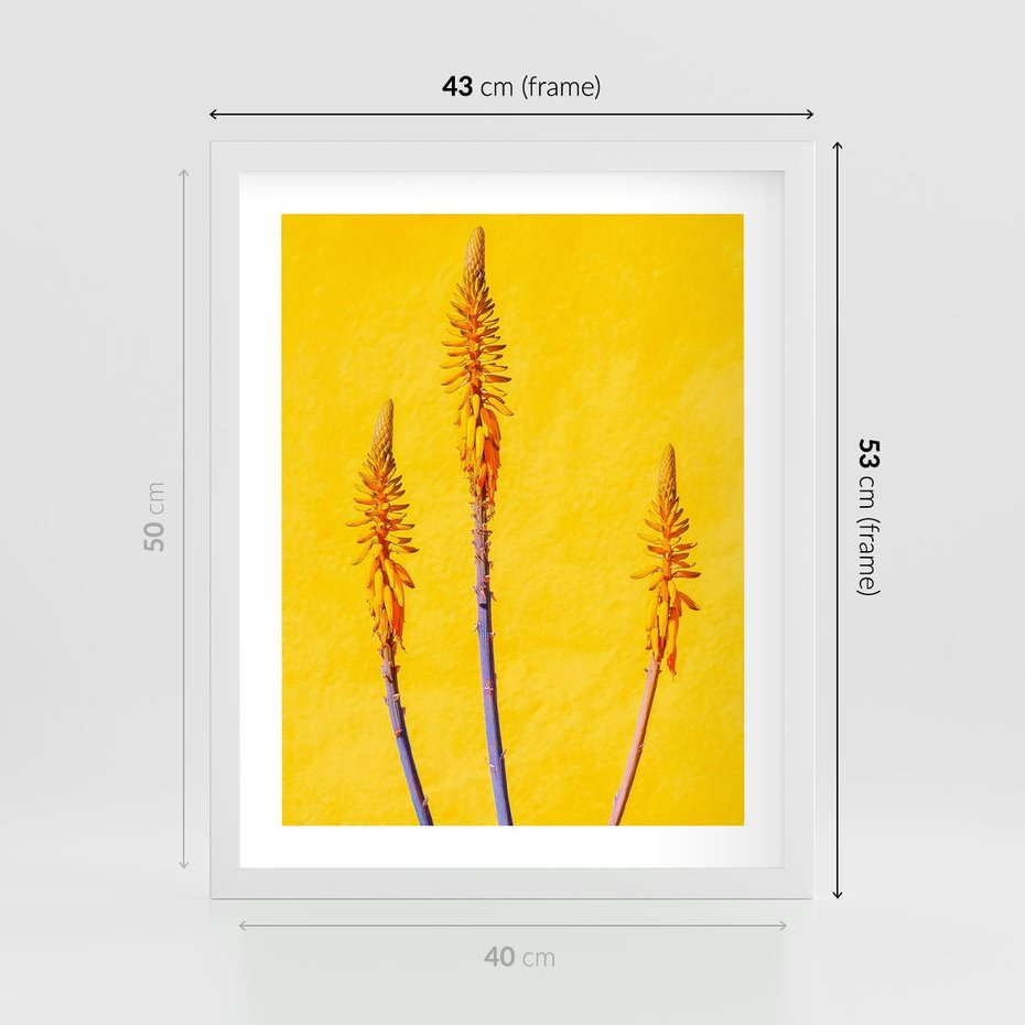 Plakat w ramie 40x50 - Radość Natury - kolor, kwiaty - rama biała