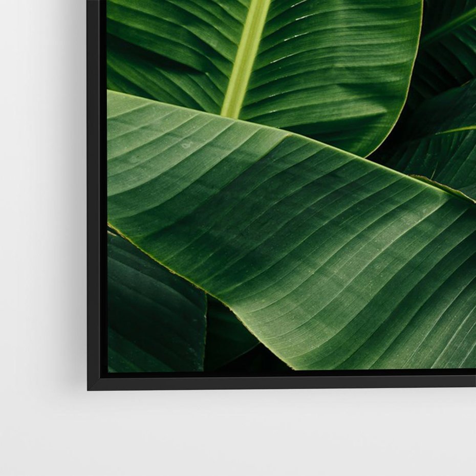 Obraz w ramie 100x70 - Zaklęta roślinna ekspresja - liście bananowca, gęsto ułożone - rama czarna