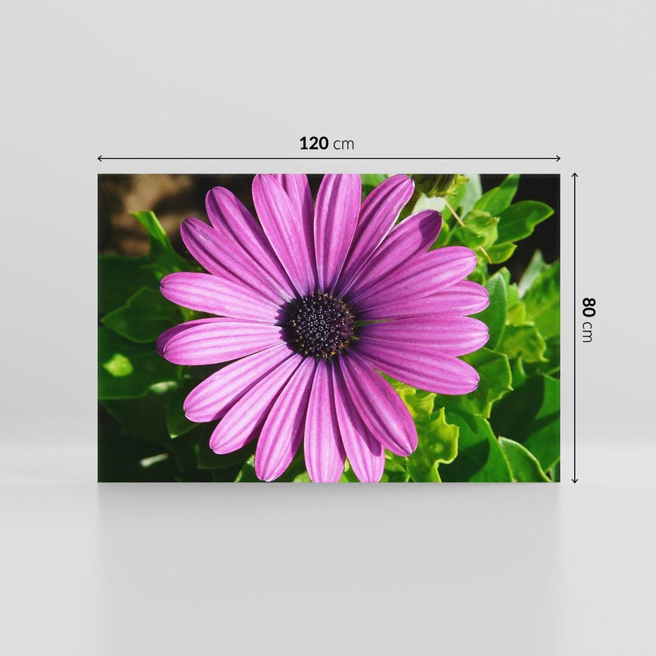 Obraz na płótnie 120x80 - Kwiatowy Dotyk - kwiat, kwiaty