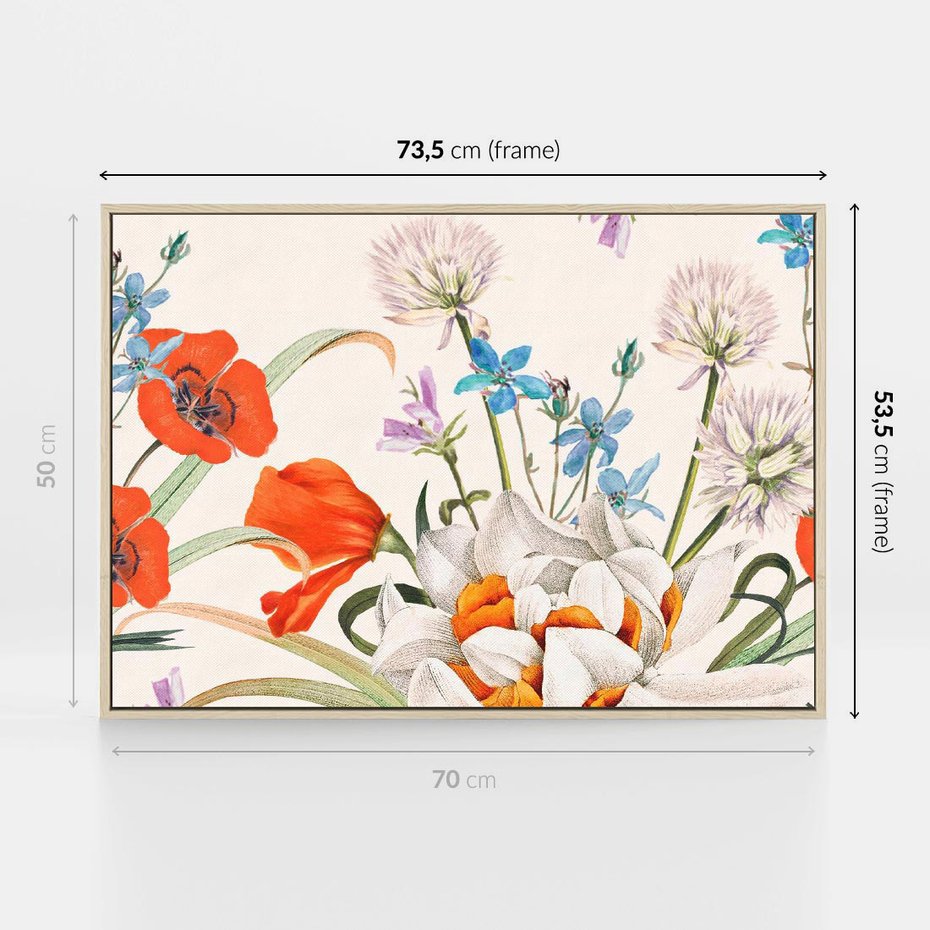 Obraz w ramie 70x50 - Polne Kwiaty - polne kwiaty, na białym tle - rama drewno