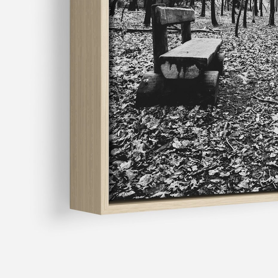 Obraz w ramie 50x70 - Spadające Liście - czarno białe zdjecie, park - rama drewno