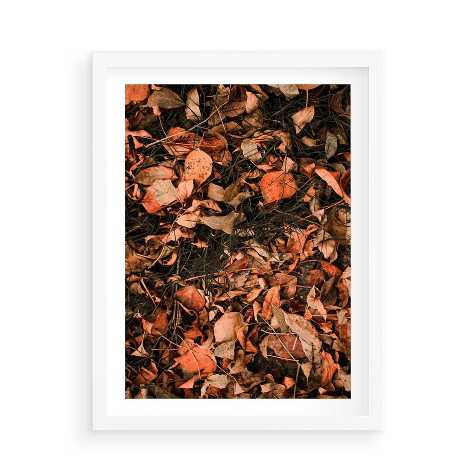 Plakat w ramie 50x70 - Jesienny Splot: Pomarańczowe Liście - liście, pomarańczowe suche liście - rama biała