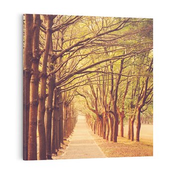 Obraz na płótnie 60x60 - Wędrówka między drzewami - droga, drzewa