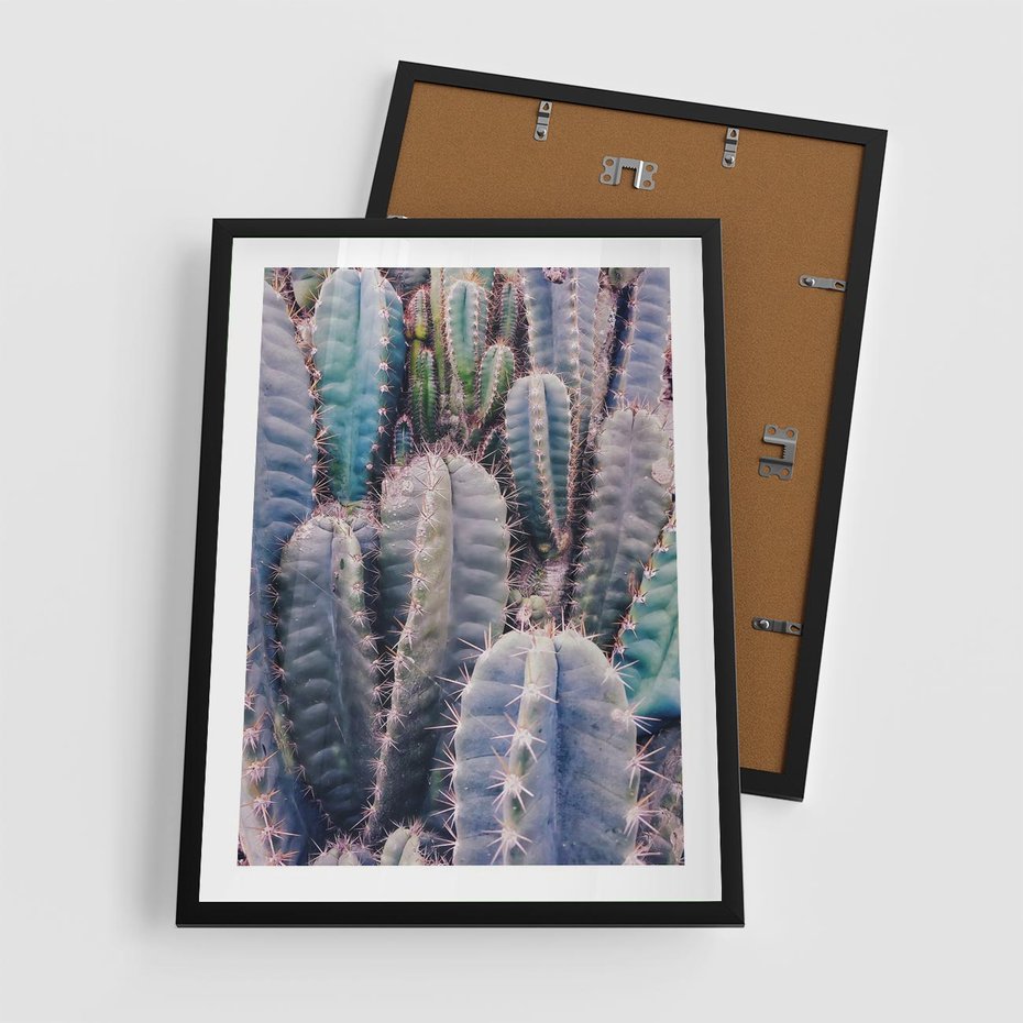 Plakat w ramie 50x70 - Kaktusowy Raj - kaktusy, dużo kaktusów - rama czarna