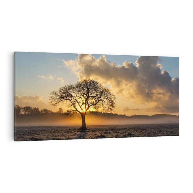 Obraz na płótnie 100x50 - Drzewo w mgle: Piękno jesiennego poranka - drzewo, mgła