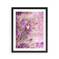 Plakat w ramie 40x50 - Majestat lawendy: fioletowe pola - lawenda, fiolet - rama czarna