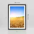 Plakat w ramie 50x70 - Żyzne Pola - pole, pszenicy - rama czarna
