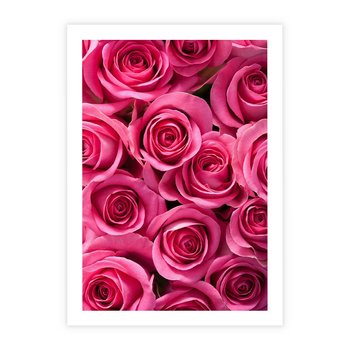 Plakat bez ramy 30x40 - Romantyczne róże w pełnym rozkwicie - róże, kwiaty