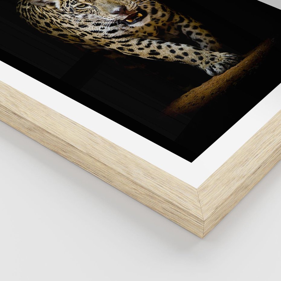 Plakat w ramie 50x70 - Elegancja lamparta - lampart, pantera - rama drewno