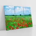 Obraz na płótnie 120x80 - Kolorowa łąka pełna maku - łąka, maki