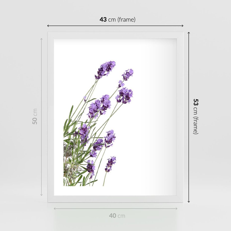 Plakat w ramie 40x50 - Delikatny Urok - lawenda, kwiaty - rama biała