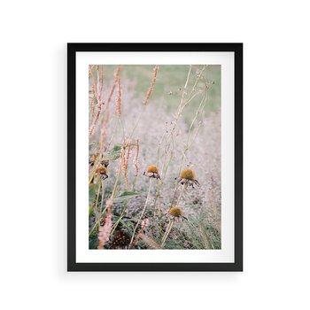 Plakat w ramie 30x40 - Przyroda w Pełnym Blasku: Kolorowa łąka z Kwiatami - łąka, kwiaty na łące - rama czarna